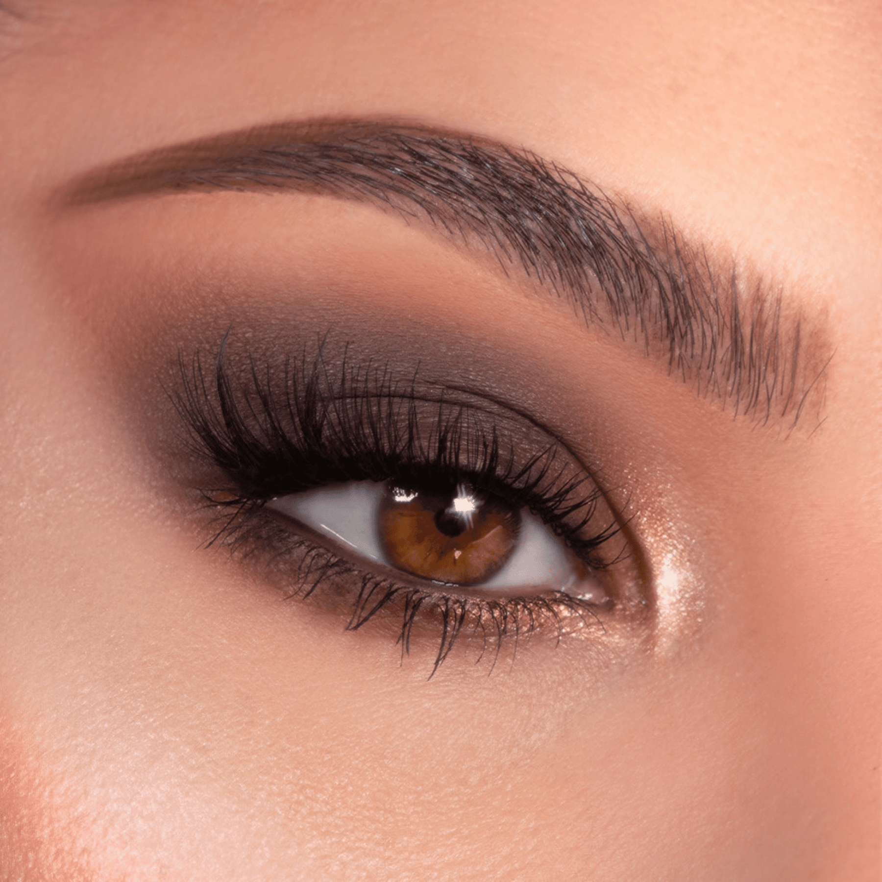 Bare Necessities - Daily Set
