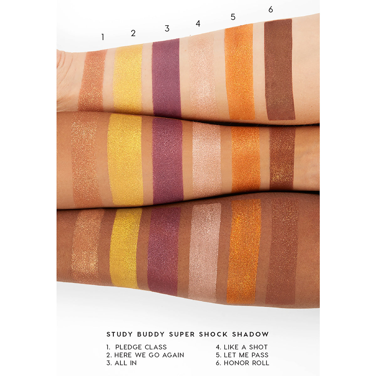 Pledge Class - Daily Set